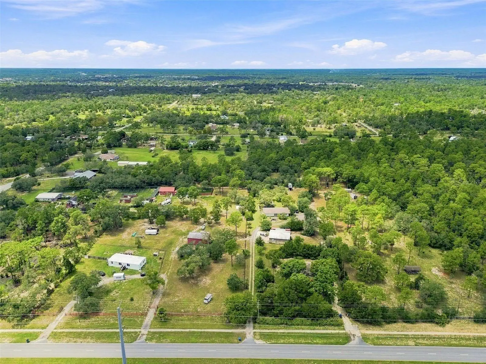 How Old Are The Trees Behind Brookridge, FL?